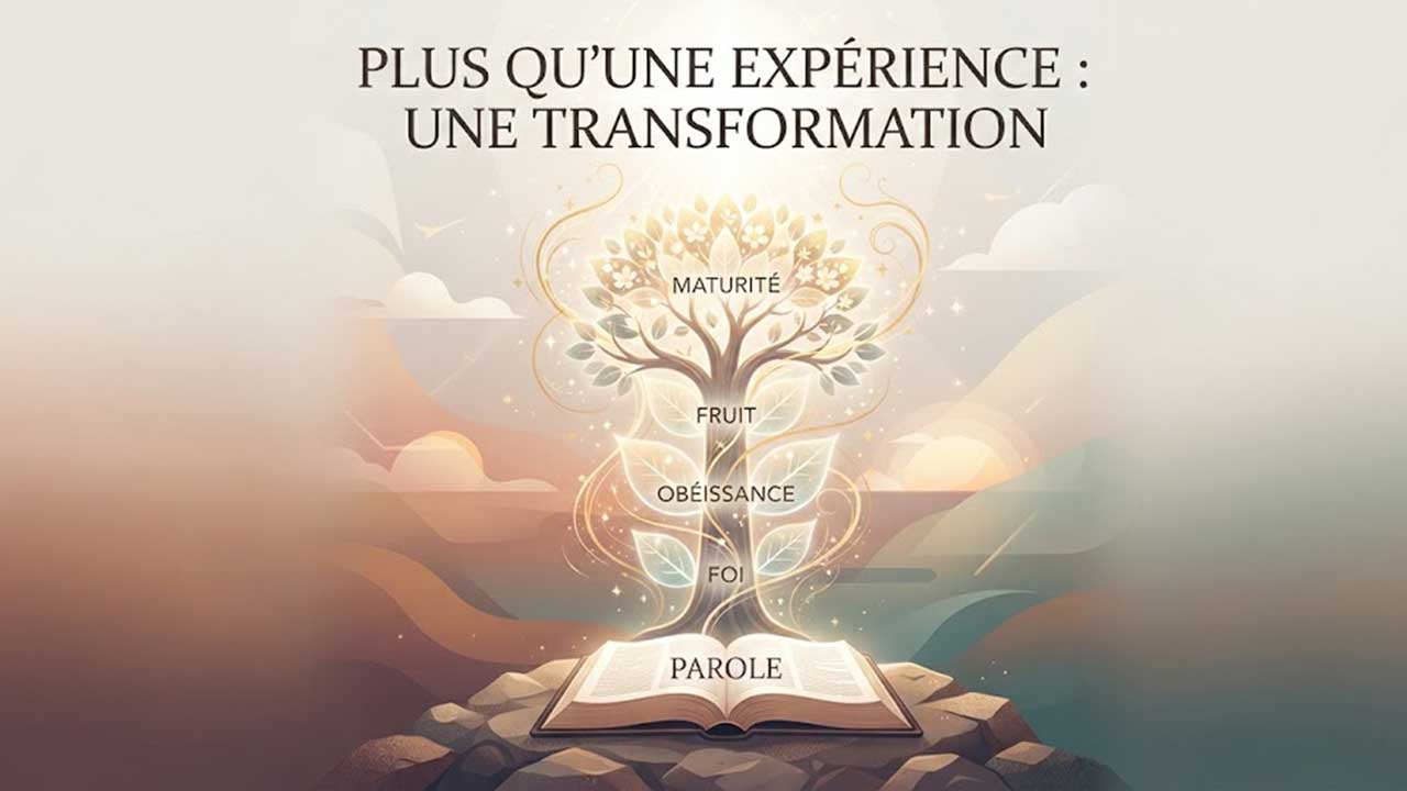 Plus qu’une expérience : une transformation